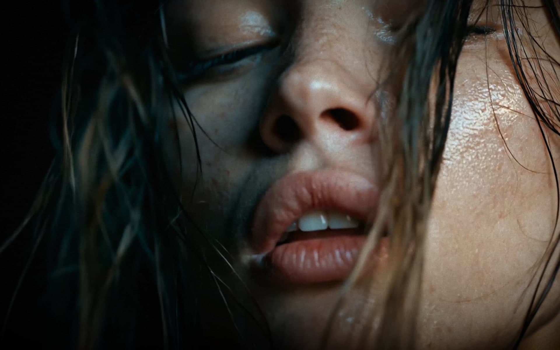 Pheromone / 00